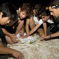 The young explorers work with corals and turtles 